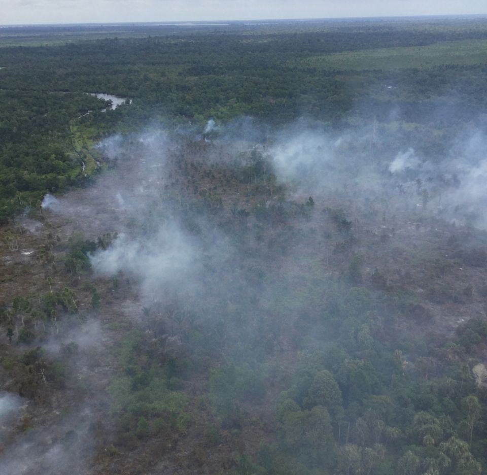 Penampakan lahan yang terbakar di Kepulauan Meranti setelah di boombing oleh helikopter Superpuma Sinasmas 43 kali bombing